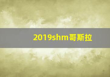 2019shm哥斯拉