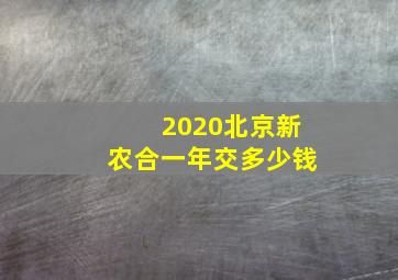 2020北京新农合一年交多少钱