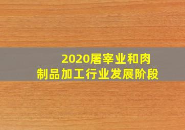 2020屠宰业和肉制品加工行业发展阶段