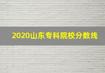 2020山东专科院校分数线