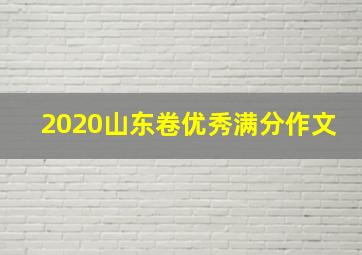 2020山东卷优秀满分作文