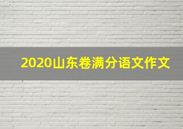 2020山东卷满分语文作文