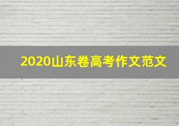 2020山东卷高考作文范文