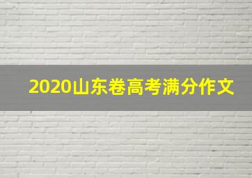 2020山东卷高考满分作文