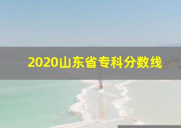 2020山东省专科分数线