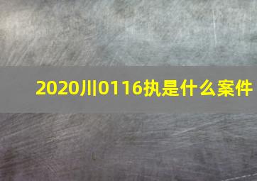 2020川0116执是什么案件