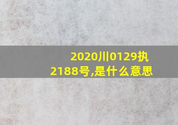 2020川0129执2188号,是什么意思