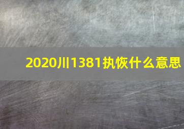 2020川1381执恢什么意思