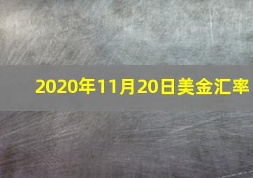 2020年11月20日美金汇率