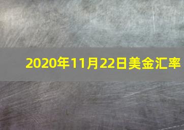 2020年11月22日美金汇率