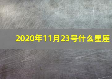 2020年11月23号什么星座