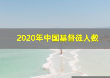 2020年中国基督徒人数