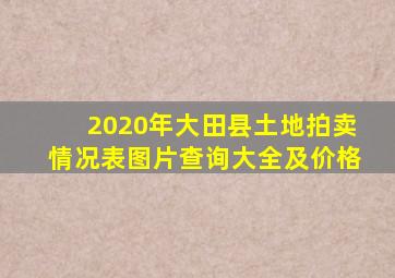 2020年大田县土地拍卖情况表图片查询大全及价格