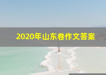 2020年山东卷作文答案