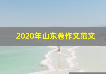 2020年山东卷作文范文