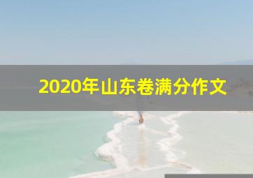 2020年山东卷满分作文