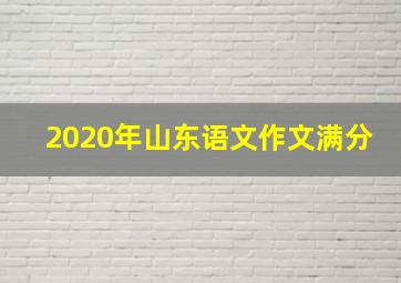 2020年山东语文作文满分