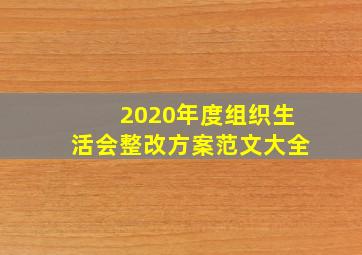 2020年度组织生活会整改方案范文大全