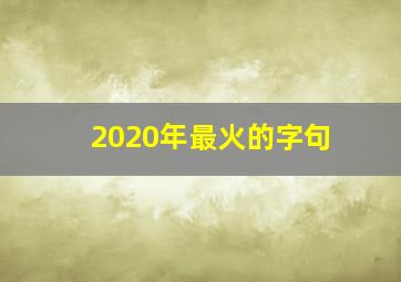 2020年最火的字句