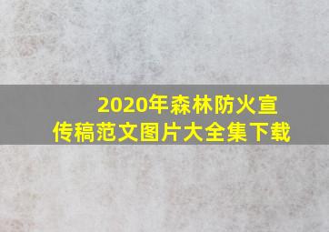 2020年森林防火宣传稿范文图片大全集下载