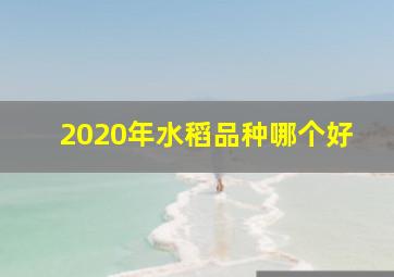 2020年水稻品种哪个好