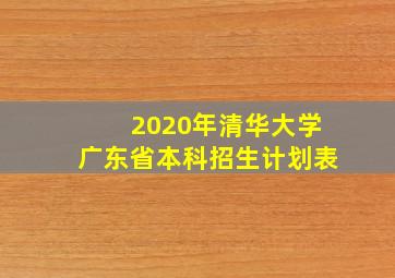 2020年清华大学广东省本科招生计划表