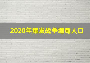 2020年爆发战争缅甸人口