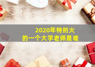 2020年特别火的一个大学老师是谁