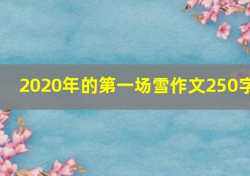 2020年的第一场雪作文250字