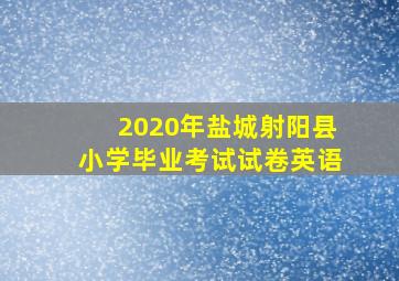 2020年盐城射阳县小学毕业考试试卷英语