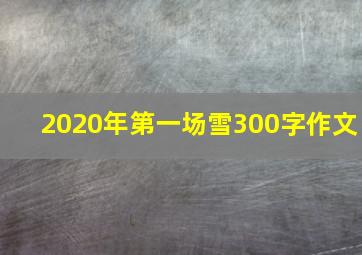 2020年第一场雪300字作文