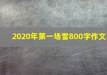 2020年第一场雪800字作文