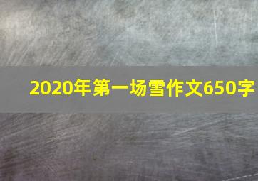 2020年第一场雪作文650字