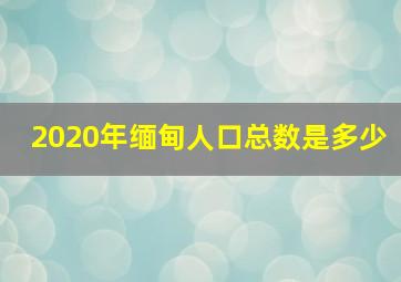 2020年缅甸人口总数是多少