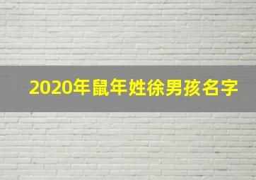 2020年鼠年姓徐男孩名字