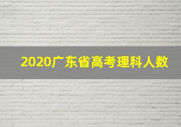 2020广东省高考理科人数