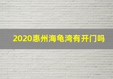 2020惠州海龟湾有开门吗