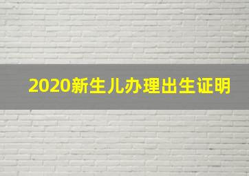 2020新生儿办理出生证明