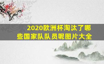 2020欧洲杯淘汰了哪些国家队队员呢图片大全