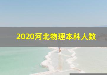 2020河北物理本科人数