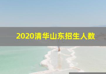 2020清华山东招生人数