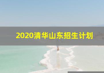 2020清华山东招生计划