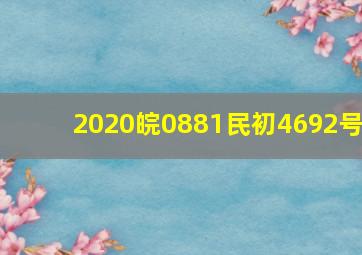 2020皖0881民初4692号