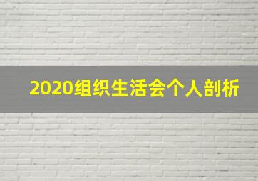 2020组织生活会个人剖析