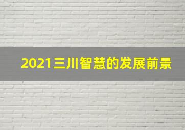 2021三川智慧的发展前景