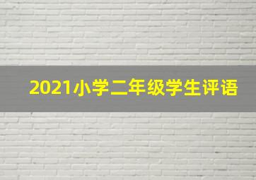 2021小学二年级学生评语