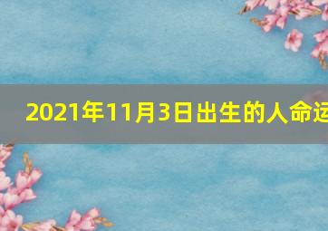 2021年11月3日出生的人命运