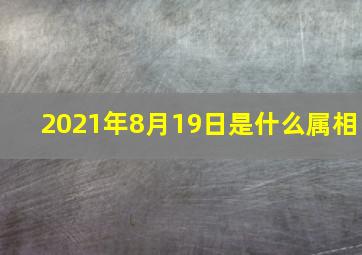 2021年8月19日是什么属相