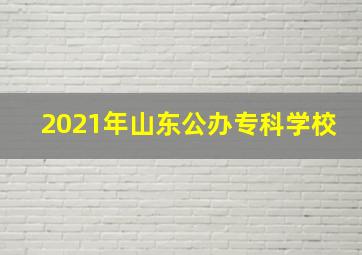 2021年山东公办专科学校