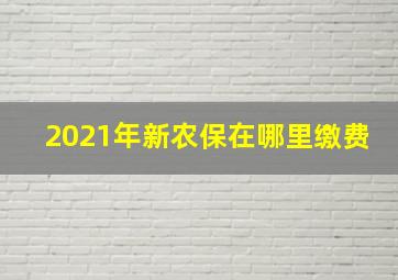 2021年新农保在哪里缴费